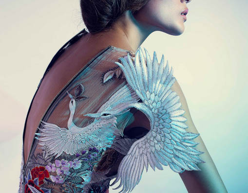 NTK Nguyễn Công Khanh với Cò Lạ