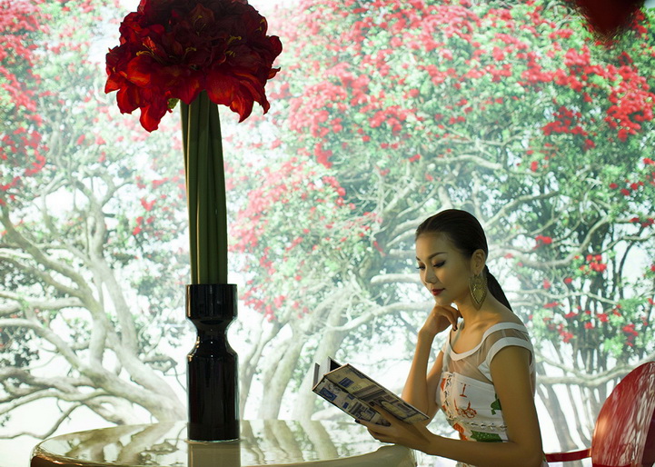 Thanh Hằng và nội thất